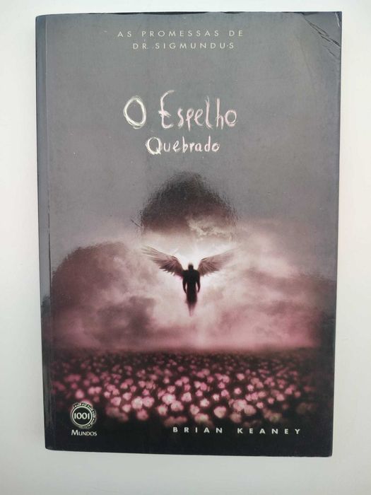 Book - The Broken Mirror (shipping via editorial mail included)64730240175875120