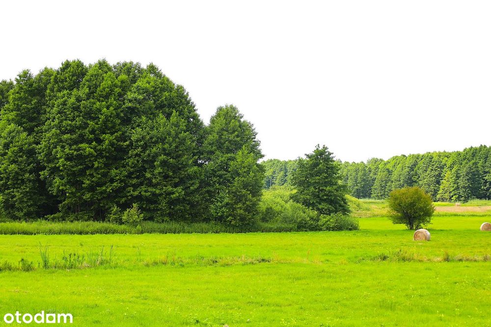 Działka z widokiem jak w Toskanii! Stara Kiszewa – 1129 m²