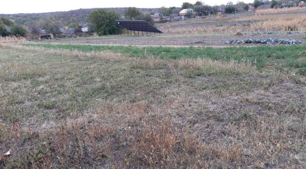 Дом с участком в с.Борозенка Роменского района.