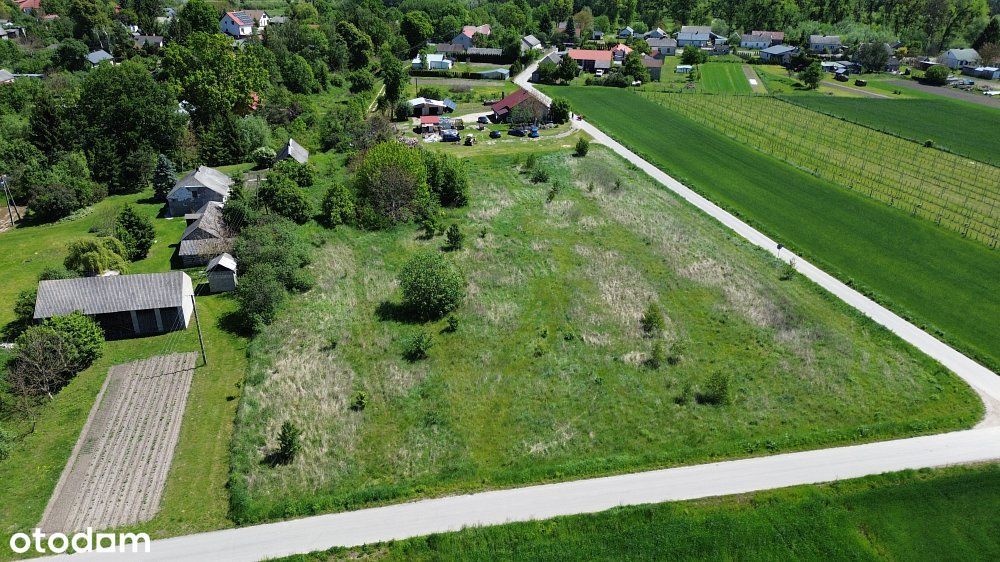 Działka 42 ar | Zagrodowa | Świerże pow. chełmski