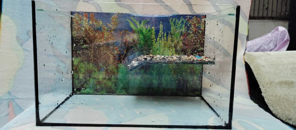 Aquário para tartaruga