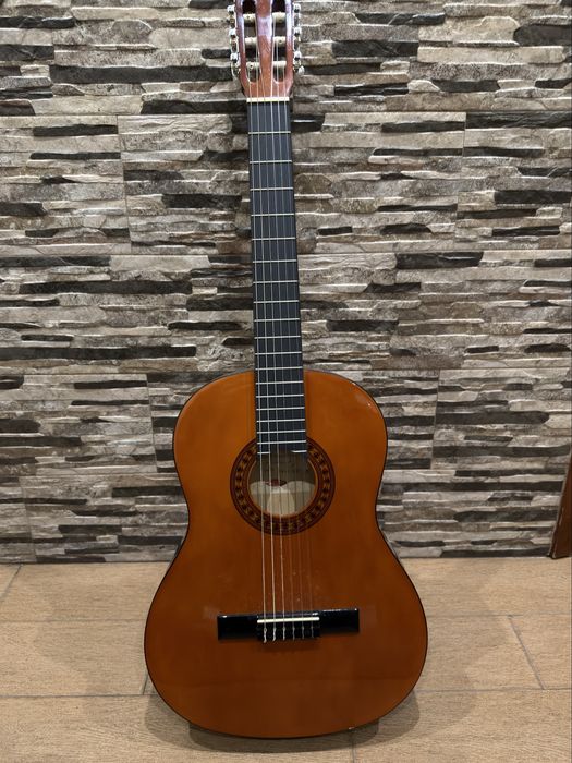 Viola com saco de transporte