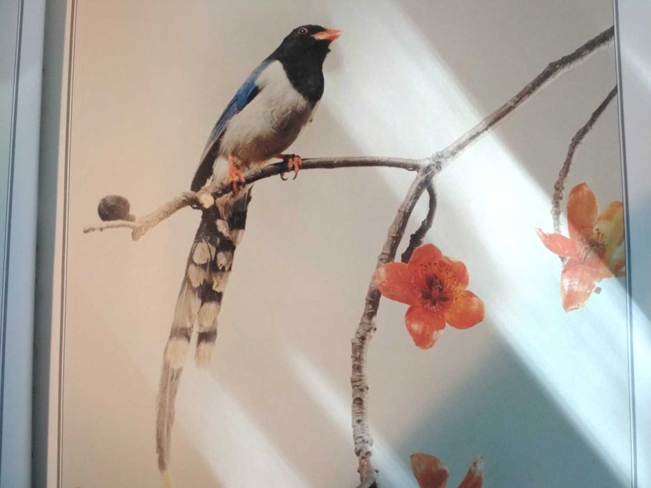 The Painterly Lens - Manly Chin (porte incluído)