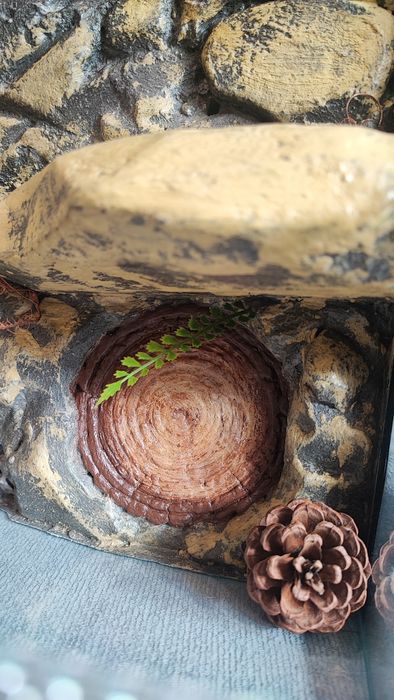 Terrarium na zamówienie