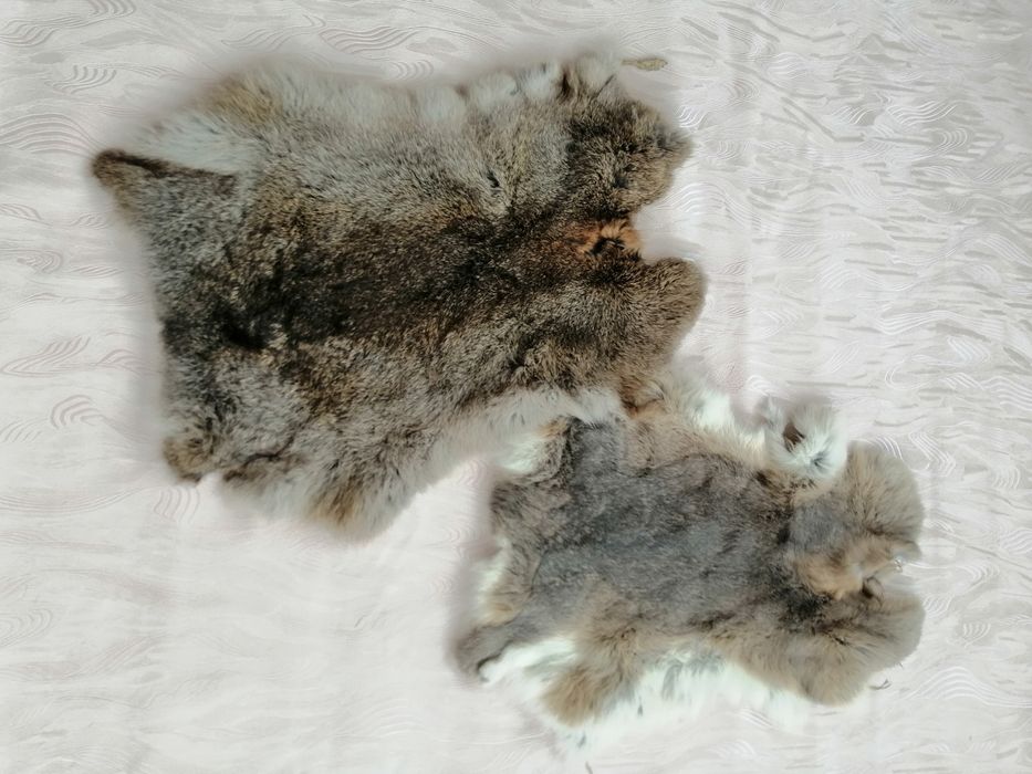 Шкуры кроля и песца