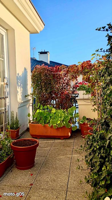 Ogrody Tesoro, 56m2, dwa balkony, 7 minut do Gdyni Centrum