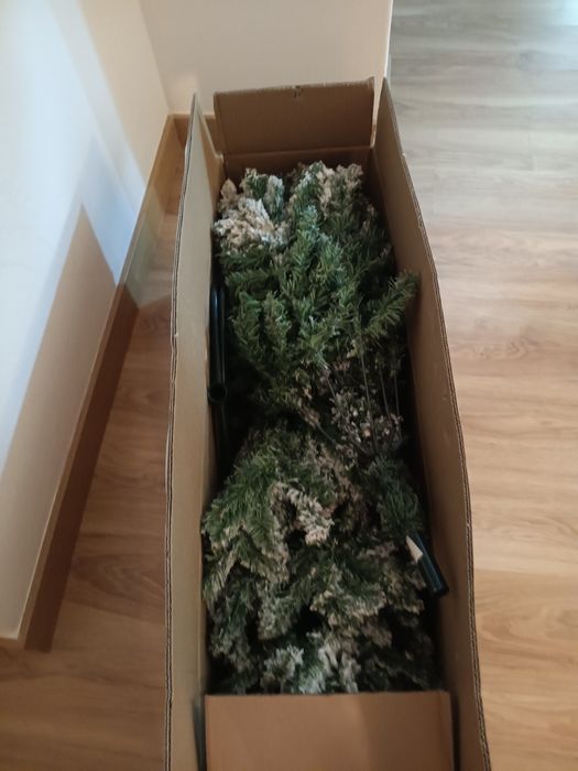 Árvore de Natal como nova