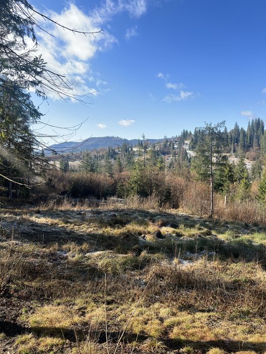 Продам земельну ділянку Слаське 25 сотих під будівництво