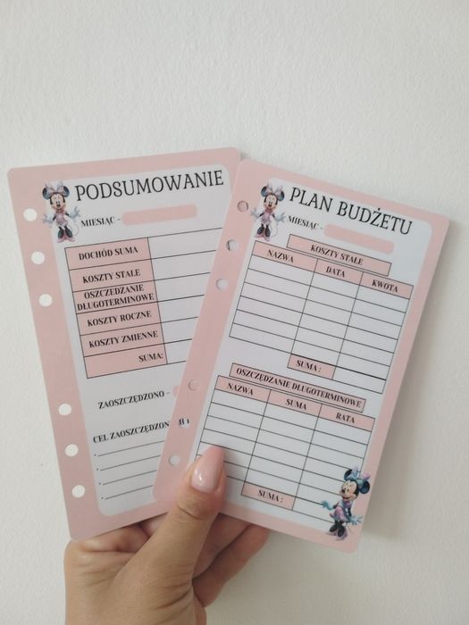 Plan budżetowy Minnie