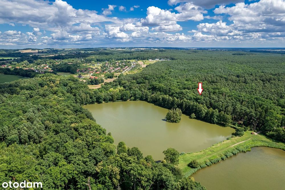 Domek wśród zieleni | Wilczyn Leśny – odpoczynek blisko Wrocławia