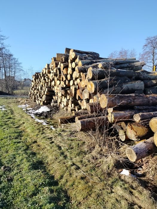 Drewno kominkowe opałowe miękkie , iglaste lub liściaste