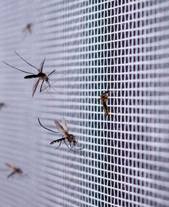 МОСКІТНІ СІТКИ на вікна та балконні двері