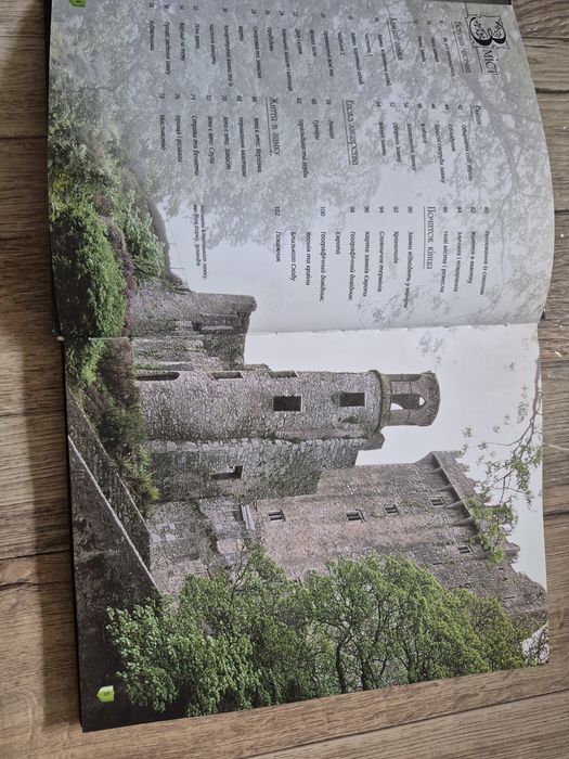 Леслі Сімс. Замки. Повна ілюстрована енциклопедія.