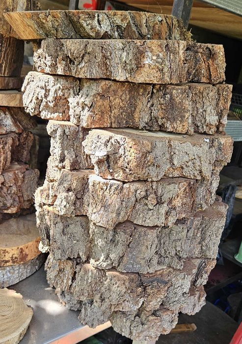 Suche plastry drewna, krążki drewniane, podkładka sosnowa, brzozowa