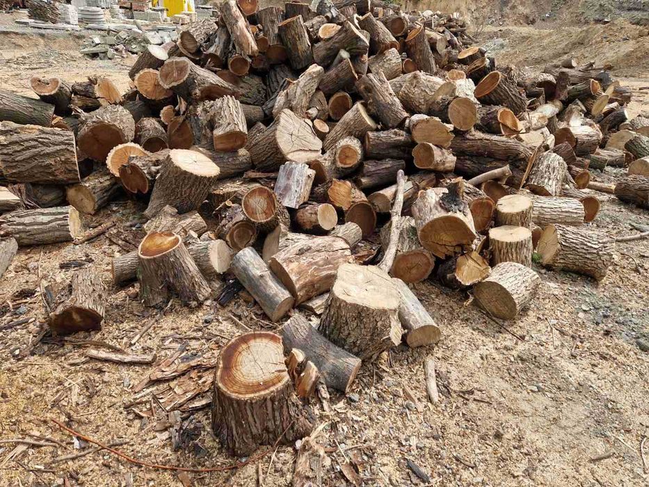 Дрова твердих порід колоті