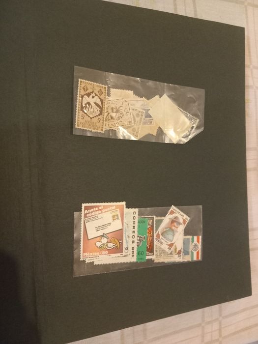 Expositor e selos Filatelia