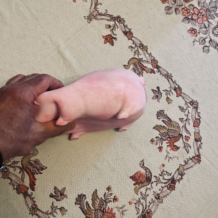 Велика Іграшка для собак Squeaky Pig (латексна та свинка-пищалка)