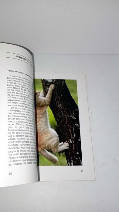 Novo Guia dos Gatos