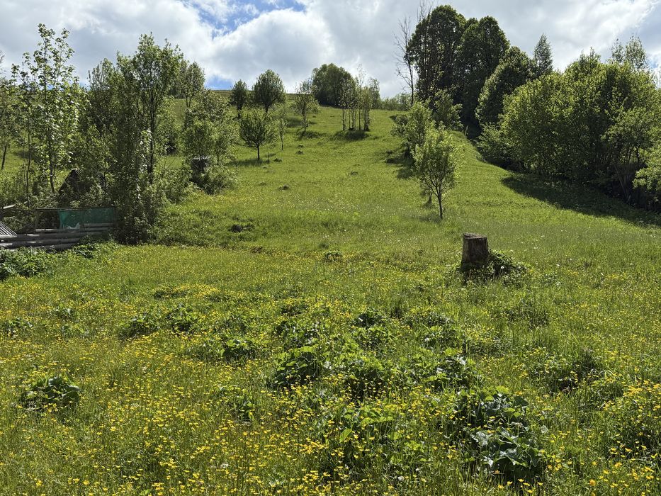 Продається ділянка  з виходом  до річки у с. Негровець