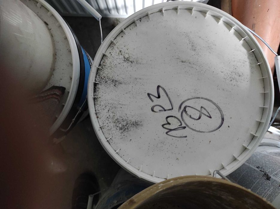 Tynk akrylowy 13P3 Arsanit 2  wiaderka 20 zł