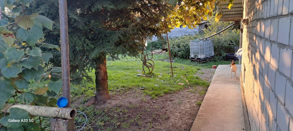 Здам будинок за містом