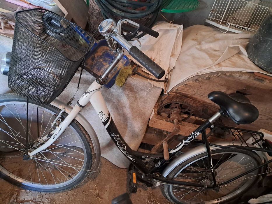 Rower damski R-Land Amanda 26 cali