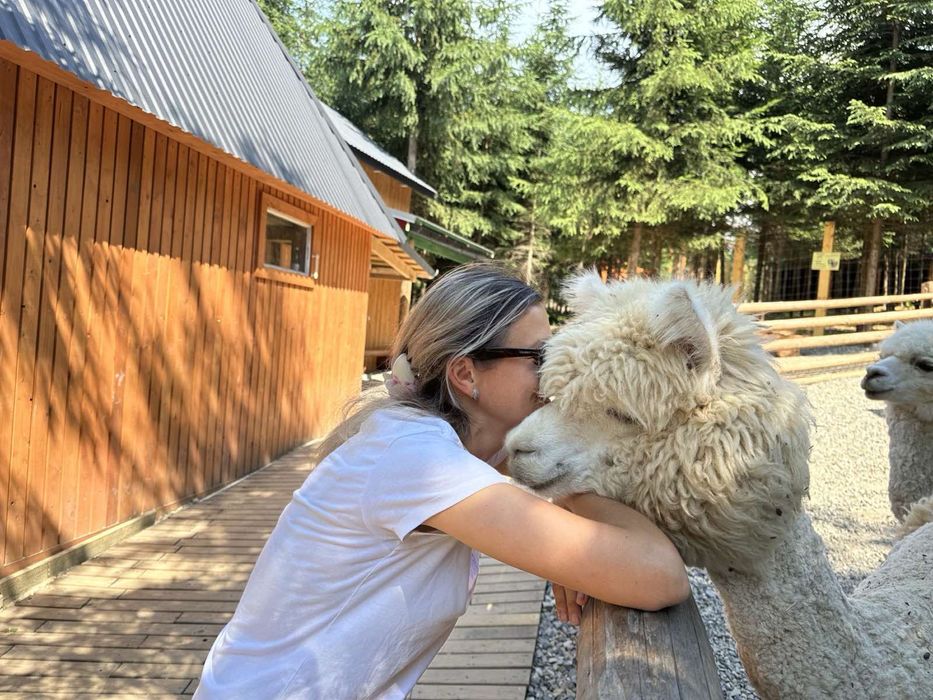 Phoenix Фенікс Буковель котедж-ефективна інвестиція!