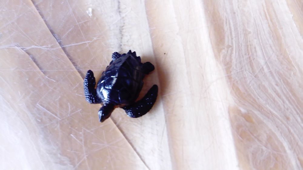 Brinquedos Animais Colecção