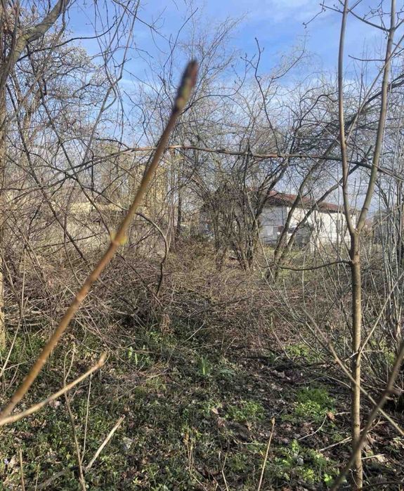 Земельна ділянка в Малютянці! БЕЗ КОМІСІЇ