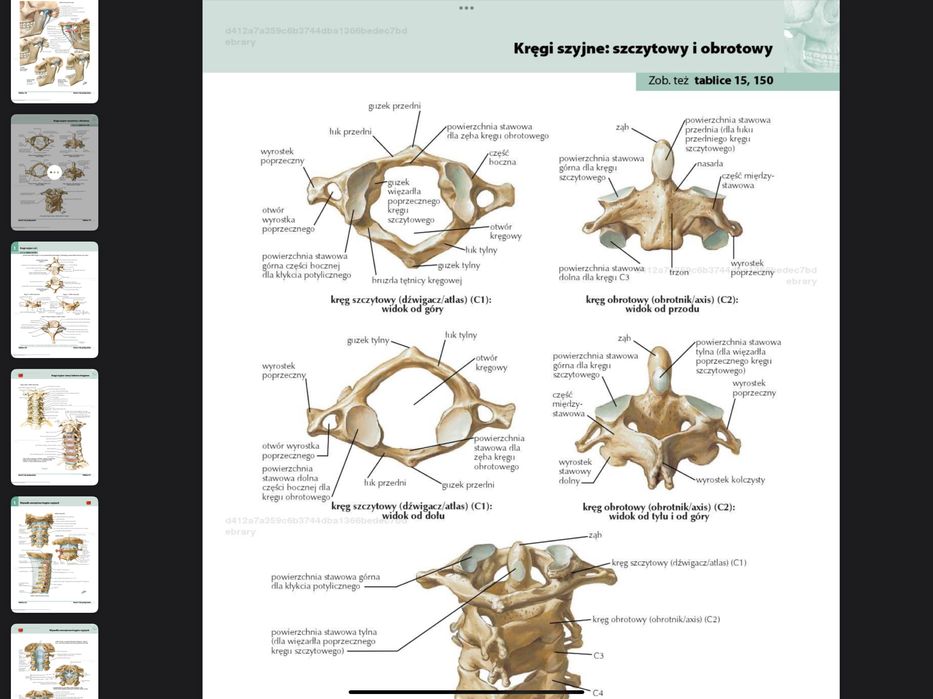 kompleksowu zestaw do nauki anatomi prawidłowej