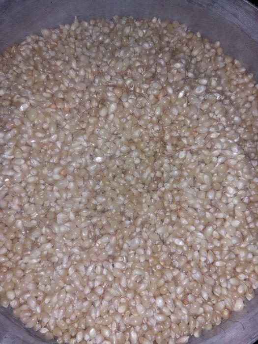 Продам поп корн в зернах