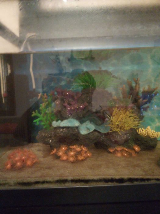 Aquário com extras