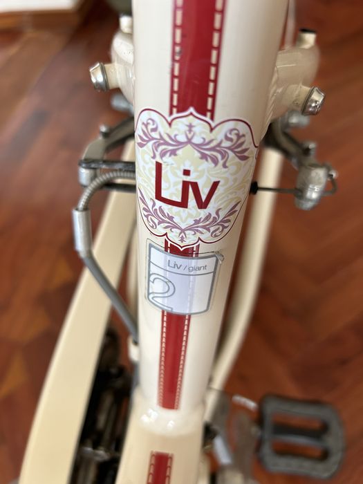 Bicicleta de cidade senhora Liv