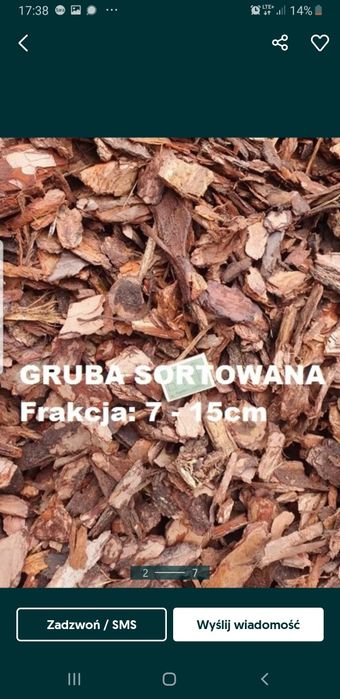 Kora Sosnowa Śląskie