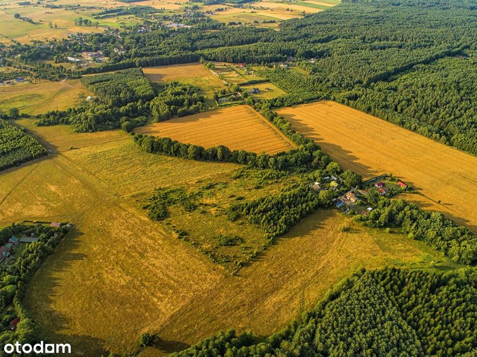 Łeba/Szczenurze działki MPZP dojazd asfaltowy blisko lasu morza - Widok 3