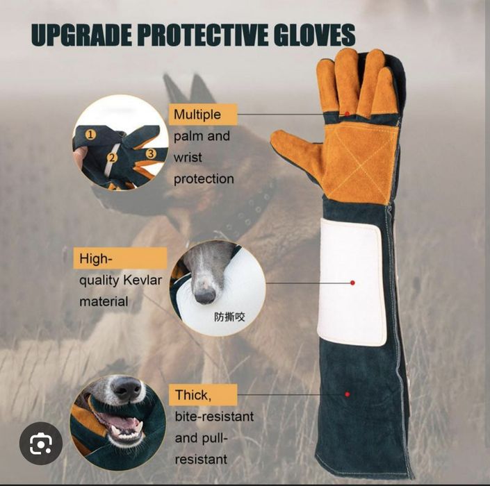 Рукавиці для дресерування