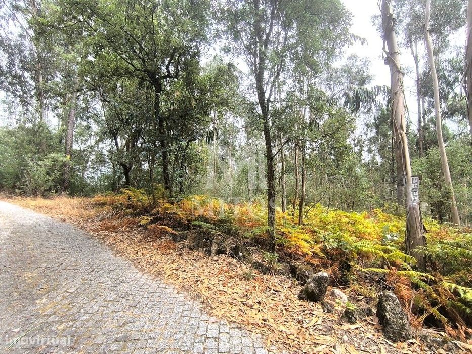 Terreno rústico em Aguiar