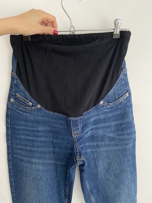 Calcas ganga gravida