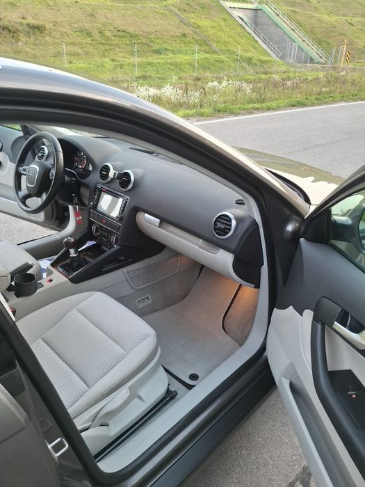 Audi A3 8P 2.0 TDI