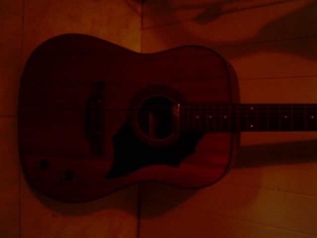 viola acústica de 12 cordas