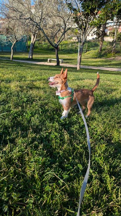 NALA merece uma família presente.