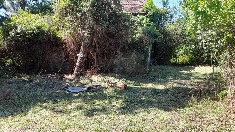 Limpeza de mato junto a edificações.