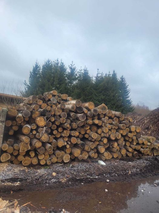 Drewno opałowe dąb sezonowany