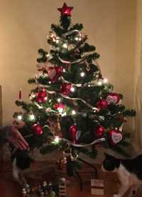 Árvore de Natal com 1,80 cm. Falagueira-Venda Nova • OLX Portugal
