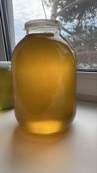 Мед акації 2025 Київ. Акацієвий мед.