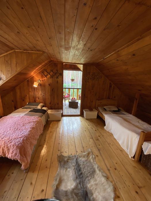 Leśny Czar-Dom na wynajem