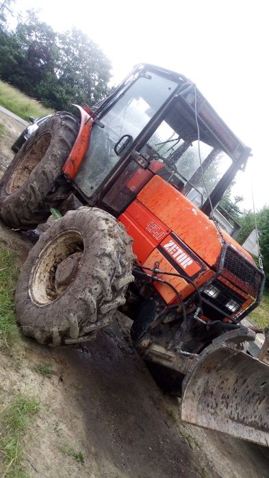 Usługi leśne , Ścinka, zrywka drzew, skup drewna cała Małopolska