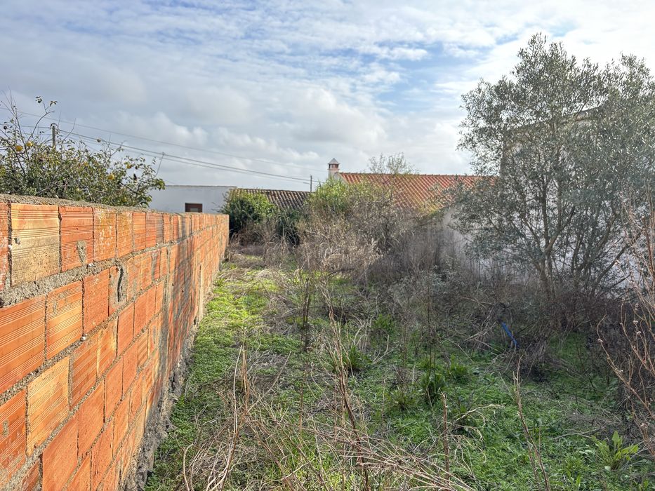 Limpeza de terrenos/quintais