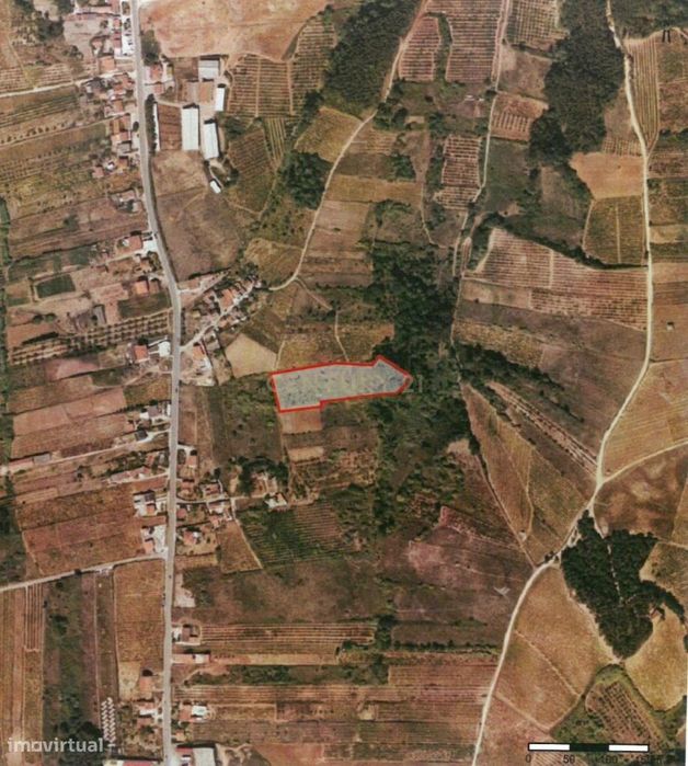 Land Plots in Painho/Cadaval – Investment Opportunity for Agriculture