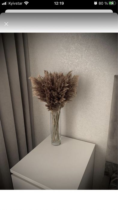 Букет сухоцвет Камыш тростник сухоцвет для декора